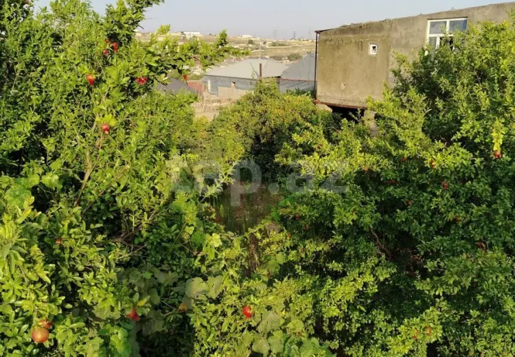 0 m² Obyekt / Ofis , Digah, Abşeron