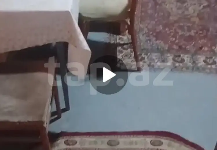 1 otaqlı mənzil Kirayə (aylıq), Yeni Yasamal qəs., Yasamal, Bakı