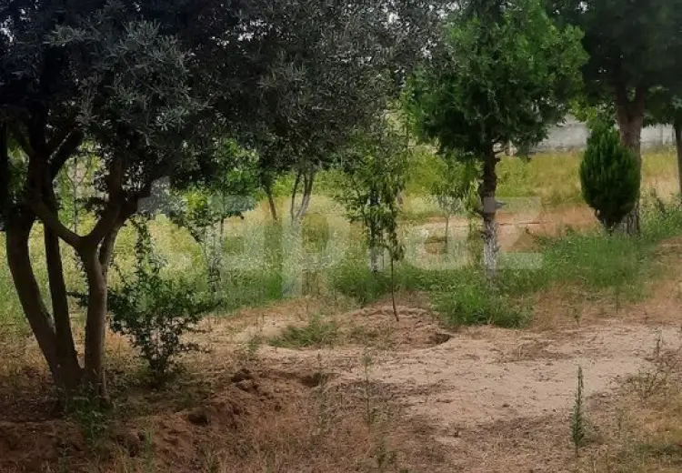 0 m² Obyekt / Ofis , Buzovna, Xəzər, Bakı