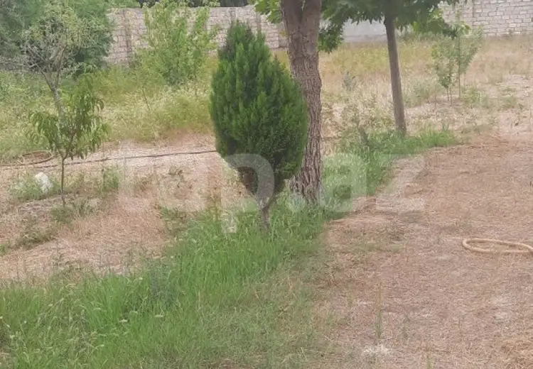0 m² Obyekt / Ofis , Buzovna, Xəzər, Bakı
