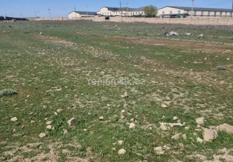 80 sot Torpaq Satılır, Qobu, Abşeron