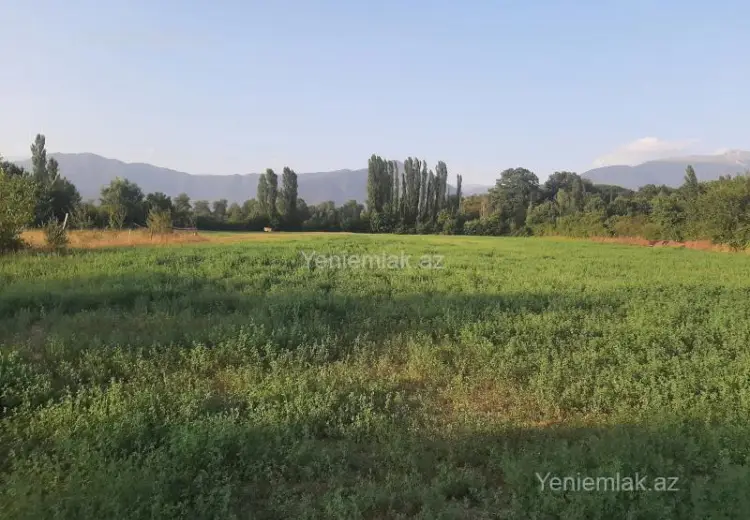 155 sot Torpaq Satılır, İsmayıllı