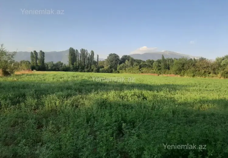 155 sot Torpaq Satılır, İsmayıllı