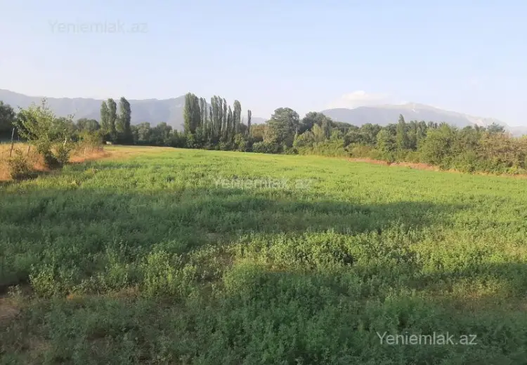 155 sot Torpaq Satılır, İsmayıllı