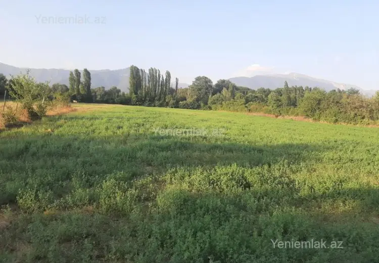 155 sot Torpaq Satılır, İsmayıllı