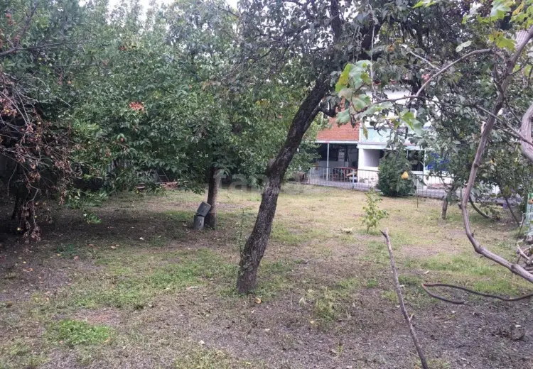 10 otaqlı mənzil , Zaqatala