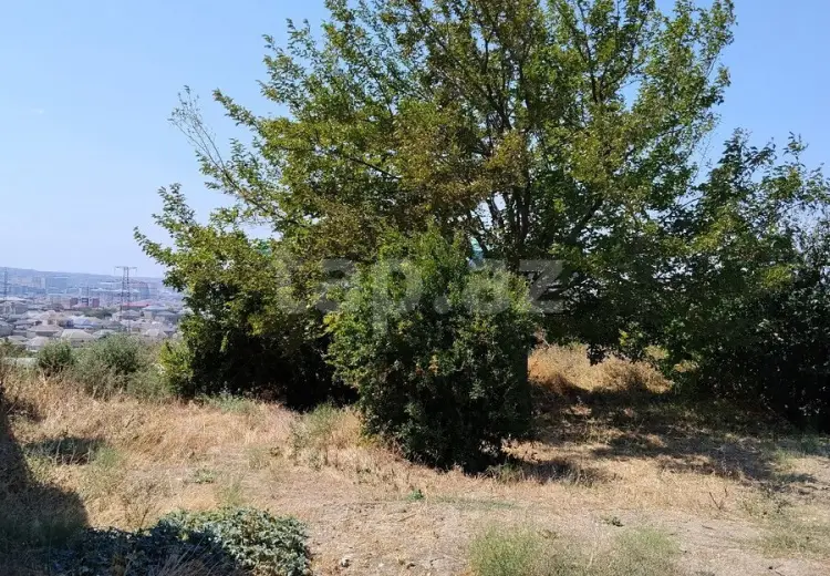 0 m² Obyekt / Ofis , Masazır, Abşeron