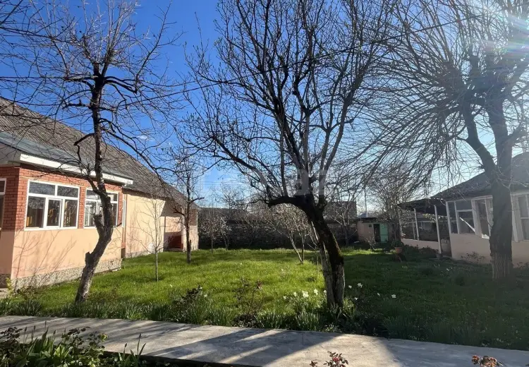 0 m² Obyekt / Ofis , Qəbələ