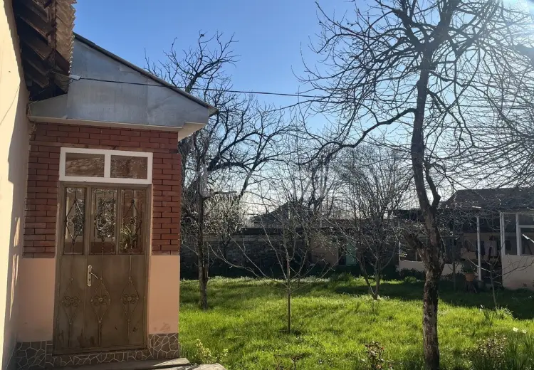 0 m² Obyekt / Ofis , Qəbələ