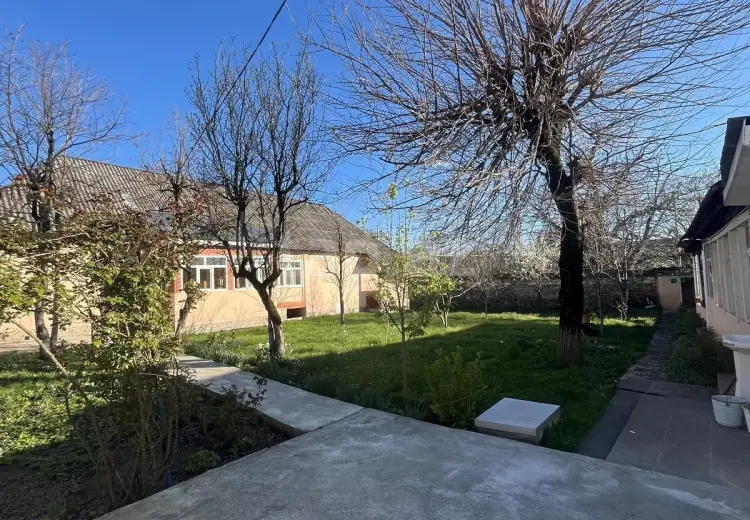 0 m² Obyekt / Ofis , Qəbələ