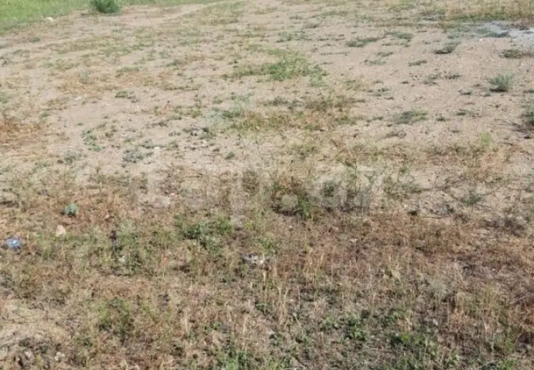 0 m² Obyekt / Ofis , Gəncə
