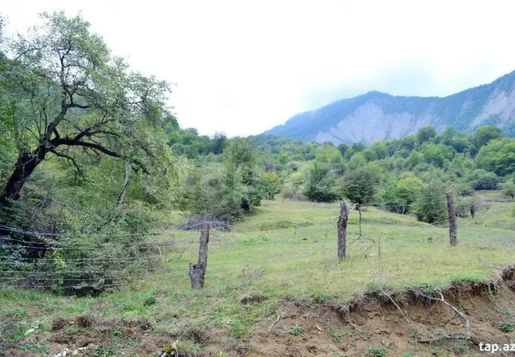 0 m² Obyekt / Ofis , Quba