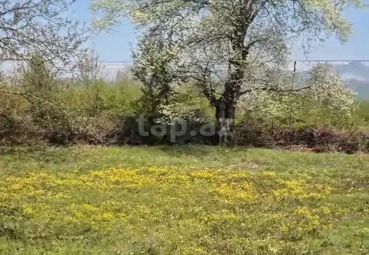 0 m² Obyekt / Ofis , Qəbələ