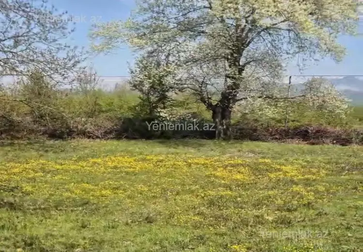 30 sot Torpaq Satılır, Qəbələ