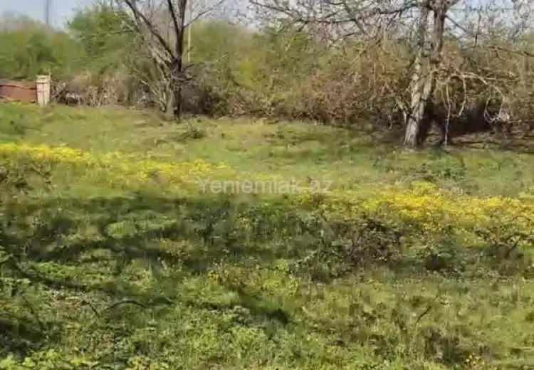30 sot Torpaq Satılır, Qəbələ