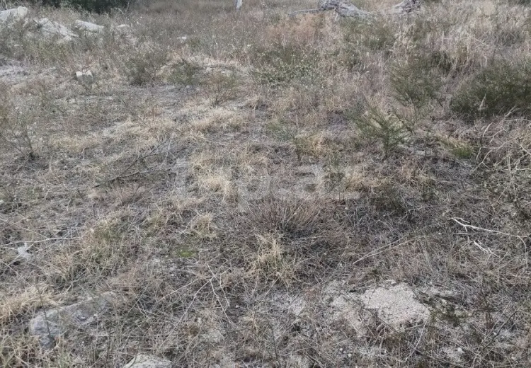 0 m² Obyekt / Ofis , Novxanı, Abşeron