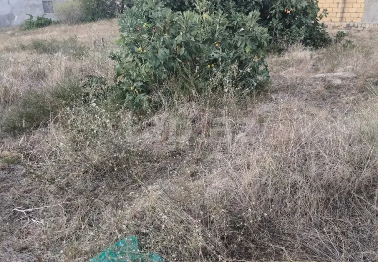 0 m² Obyekt / Ofis , Novxanı, Abşeron