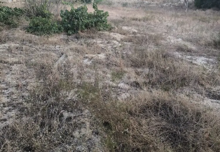 0 m² Obyekt / Ofis , Novxanı, Abşeron