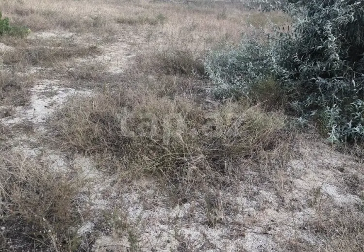 0 m² Obyekt / Ofis , Novxanı, Abşeron