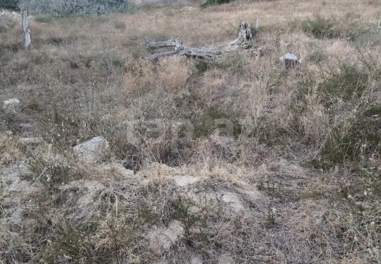 0 m² Obyekt / Ofis , Novxanı, Abşeron