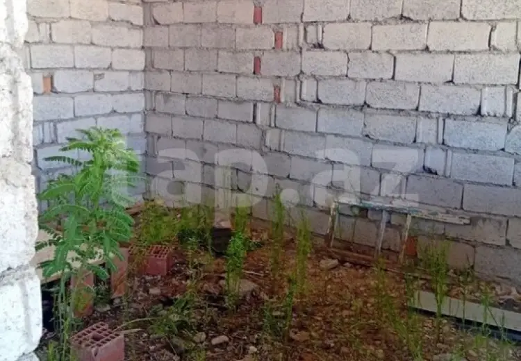 2 otaqlı mənzil , Naxçıvan MR