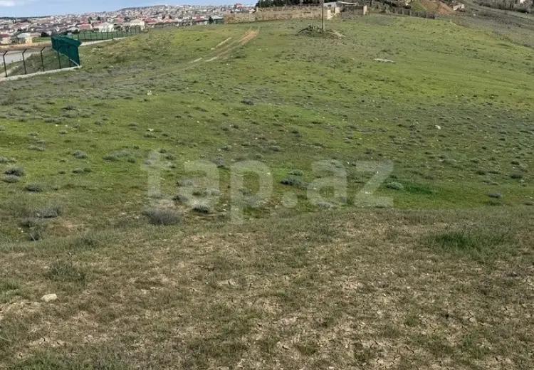 0 m² Obyekt / Ofis , Saray, Abşeron