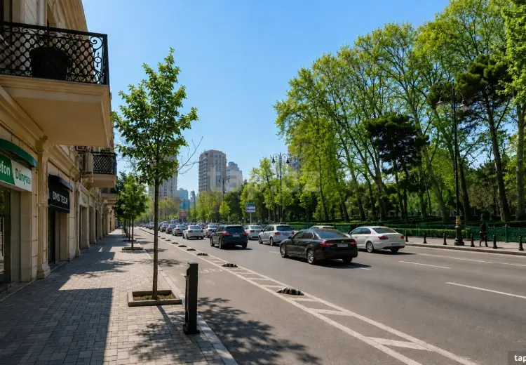 0 m² Obyekt / Ofis , Nəsimi, Bakı