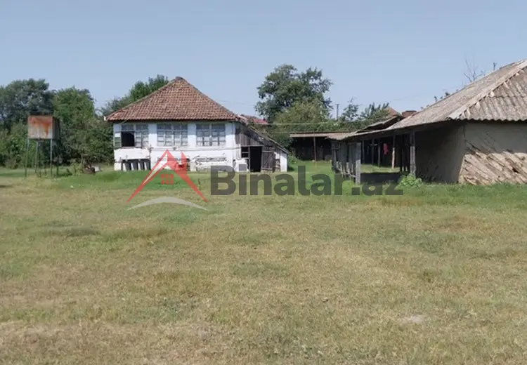22 sot Torpaq Satılır, Masallı