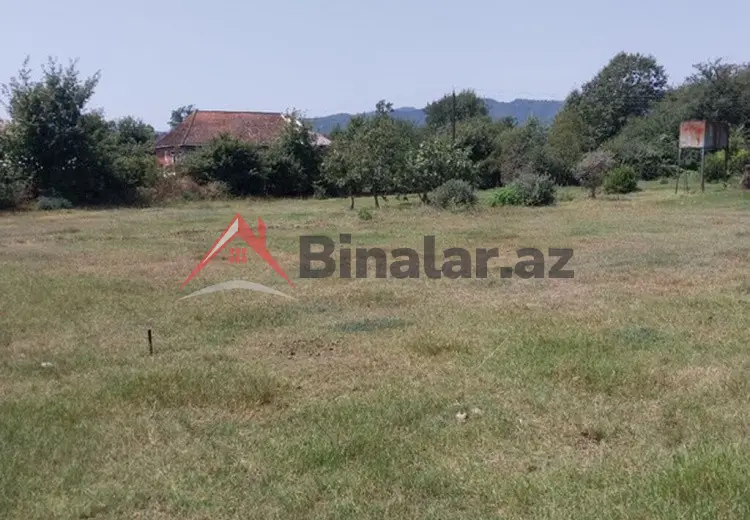 22 sot Torpaq Satılır, Masallı
