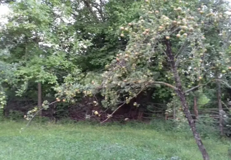 4 otaqlı mənzil , Quba