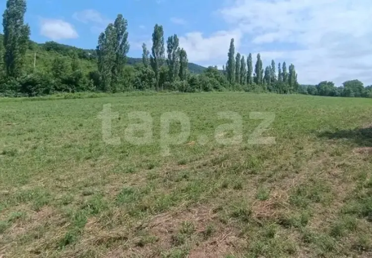 0 m² Obyekt / Ofis , Qusar