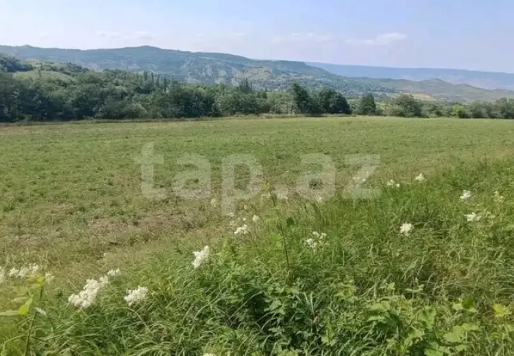 0 m² Obyekt / Ofis , Qusar