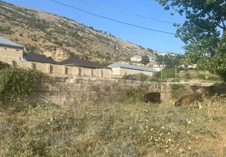 0 m² Obyekt / Ofis , Şamaxı