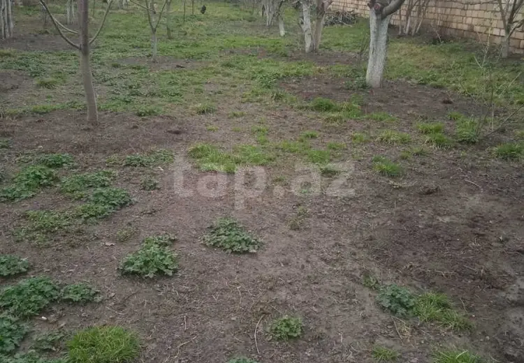 0 m² Obyekt / Ofis , Bakı