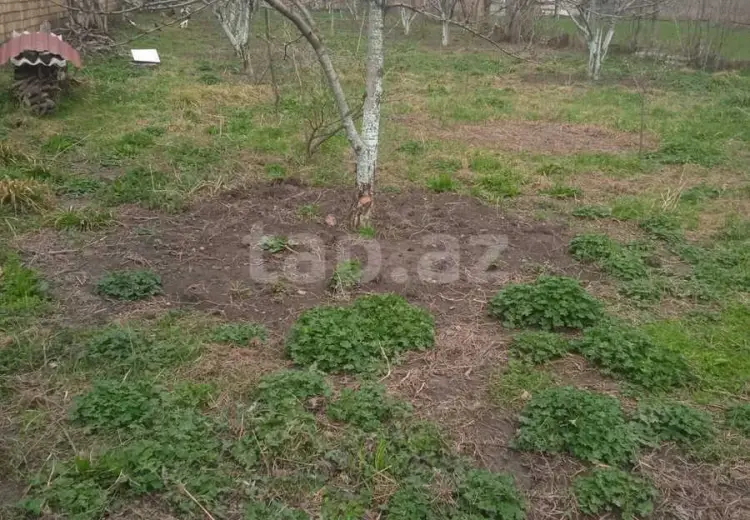 0 m² Obyekt / Ofis , Bakı