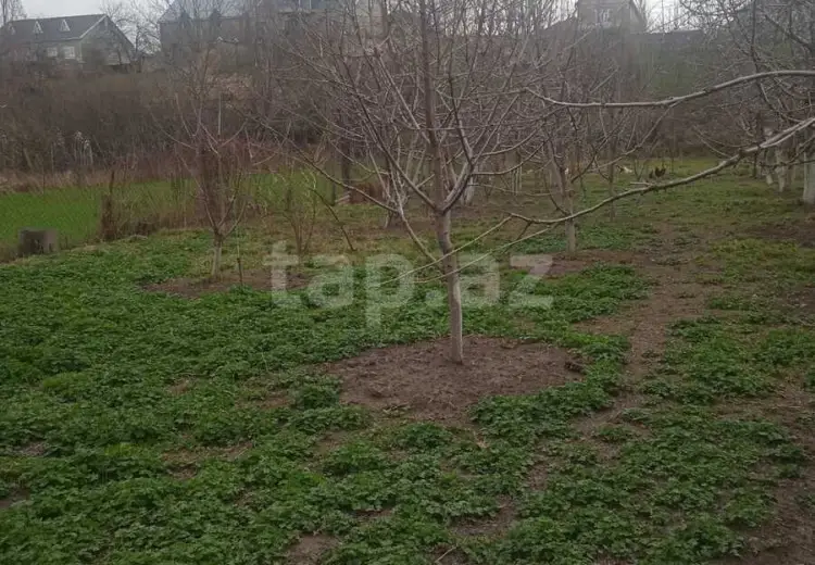 0 m² Obyekt / Ofis , Bakı