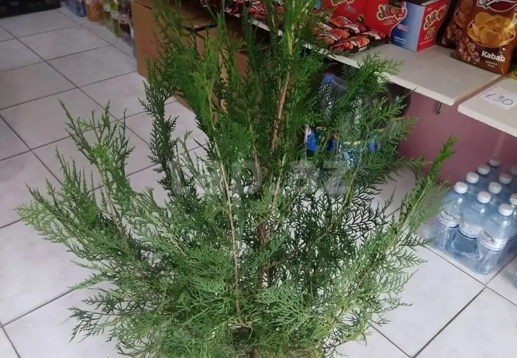 0 m² Obyekt / Ofis , Nərimanov, Bakı