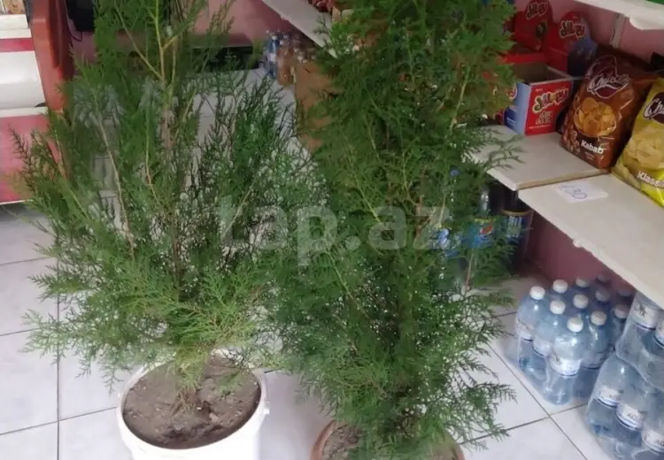 0 m² Obyekt / Ofis , Nərimanov, Bakı