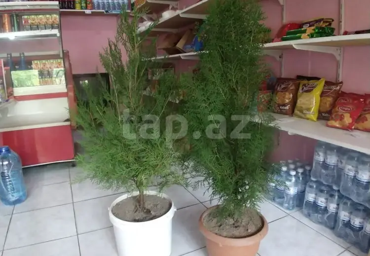 0 m² Obyekt / Ofis , Nərimanov, Bakı