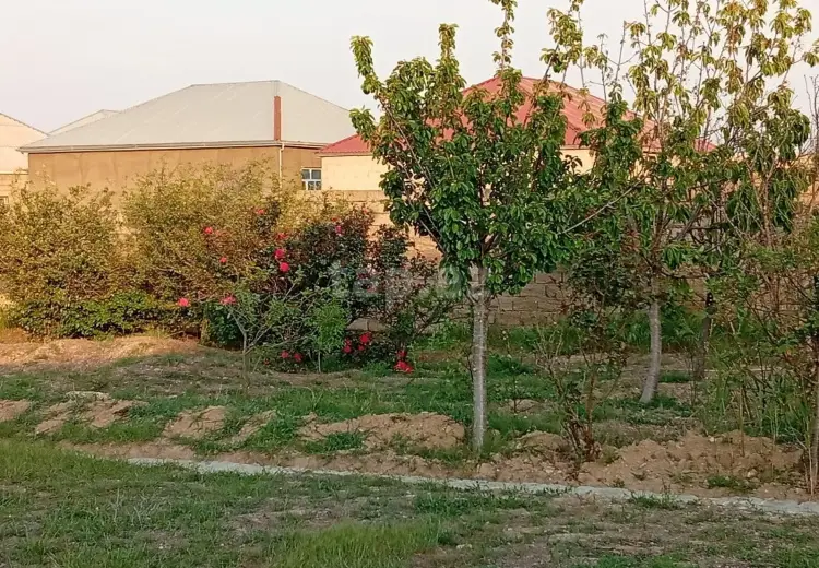 0 m² Obyekt / Ofis , Sabunçu, Bakı