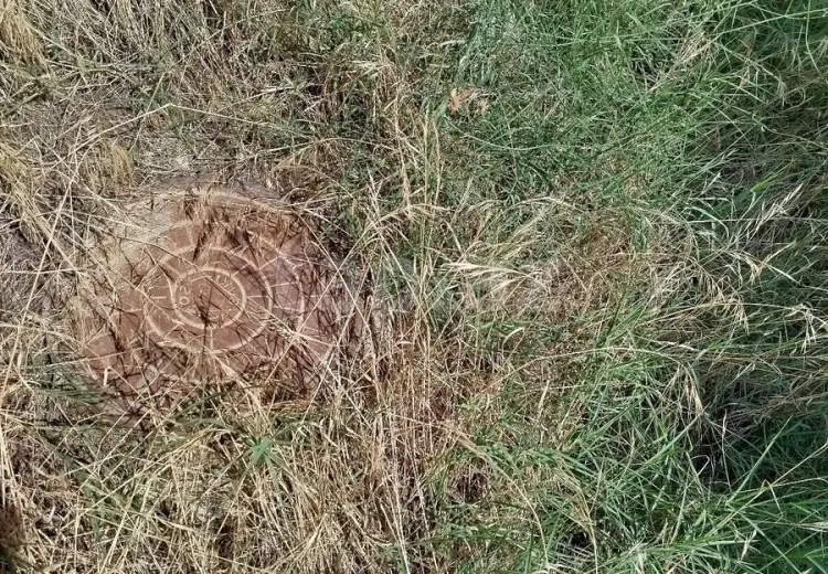 5 otaqlı mənzil , Saray, Abşeron