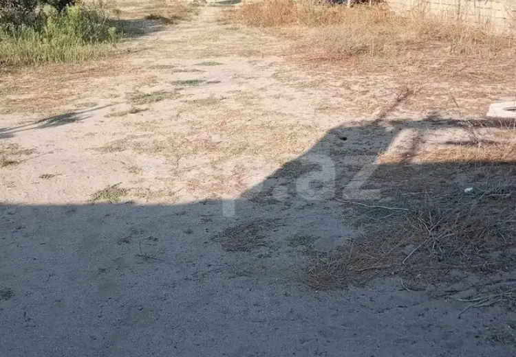0 m² Obyekt / Ofis , Nardaran qəs., Sabunçu, Bakı