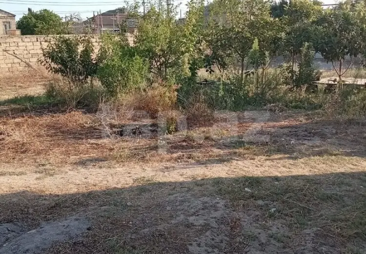 0 m² Obyekt / Ofis , Nardaran qəs., Sabunçu, Bakı