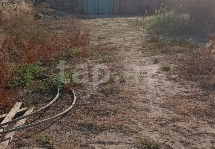 0 m² Obyekt / Ofis , Nardaran qəs., Sabunçu, Bakı