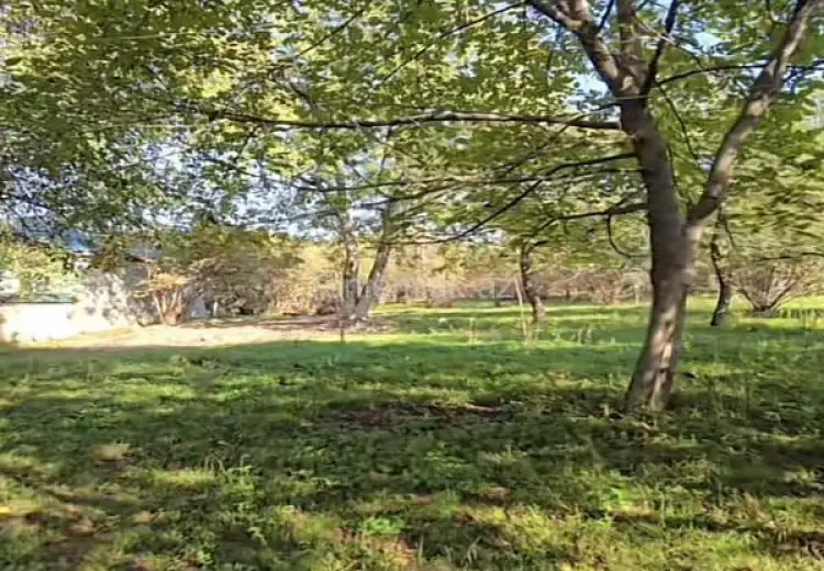 27 sot Torpaq Satılır, Qəbələ
