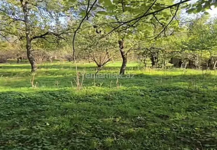 27 sot Torpaq Satılır, Qəbələ