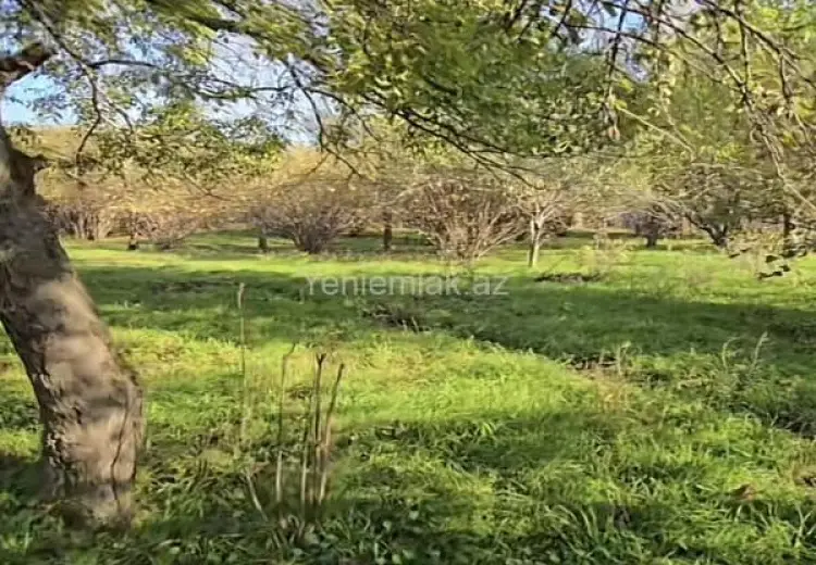 27 sot Torpaq Satılır, Qəbələ