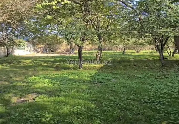 27 sot Torpaq Satılır, Qəbələ