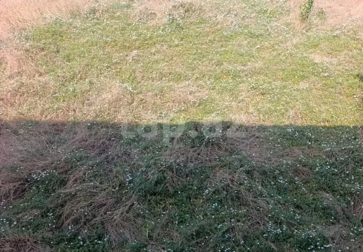 0 m² Obyekt / Ofis , Bilgəh qəs., Sabunçu, Bakı