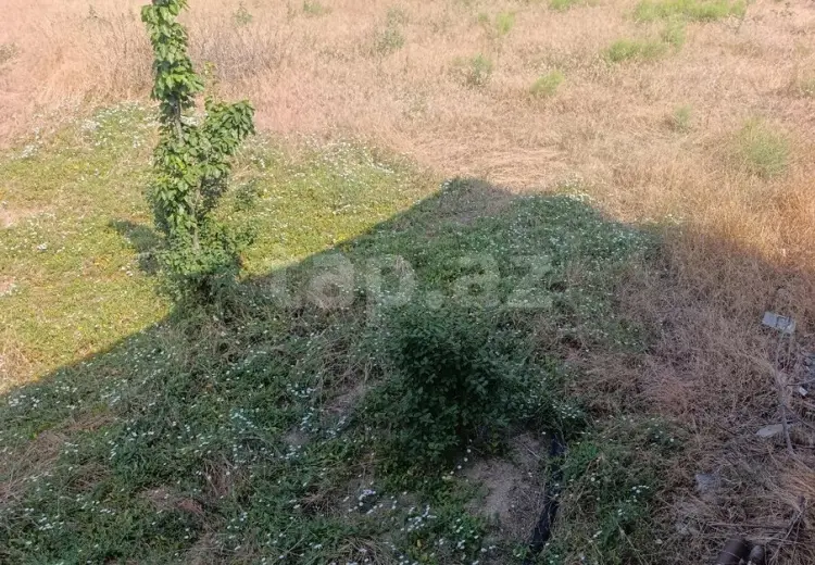 0 m² Obyekt / Ofis , Bilgəh qəs., Sabunçu, Bakı